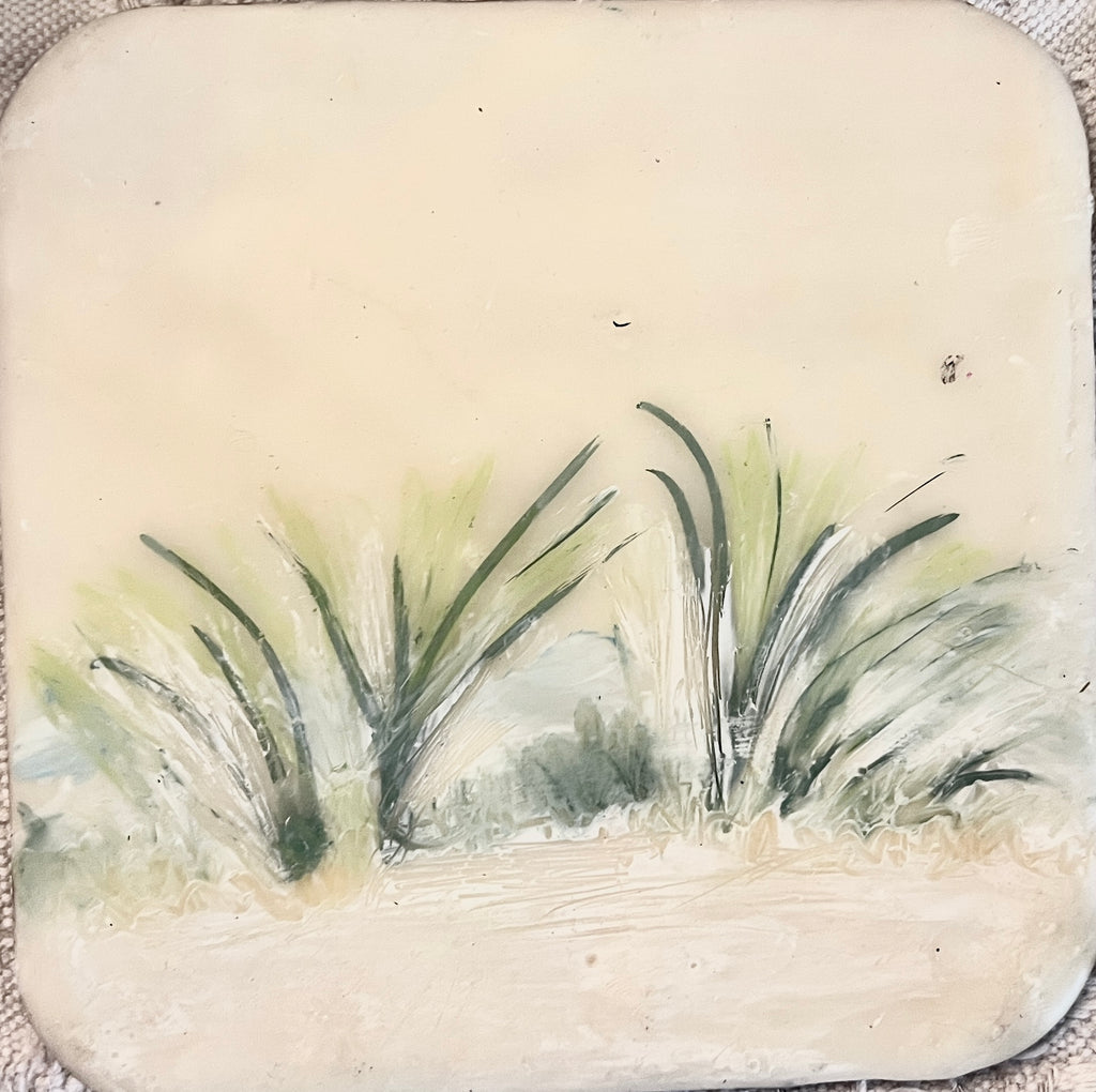 5 x 5 Square EA Beach Grass EA 10030